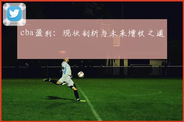 cba盈利：现状剖析与未来增收之道