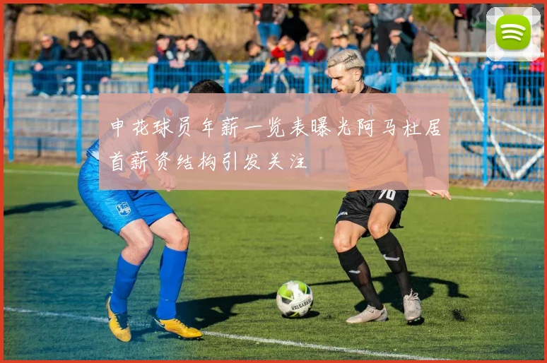 申花球员年薪一览表曝光阿马杜居首薪资结构引发关注