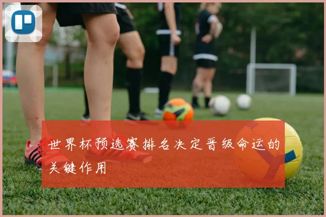 世界杯预选赛排名决定晋级命运的关键作用