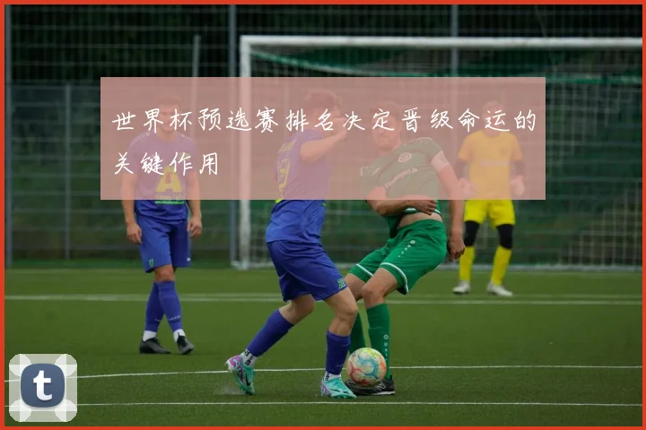 世界杯预选赛排名决定晋级命运的关键作用