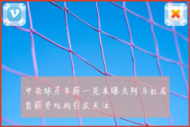 申花球员年薪一览表曝光阿马杜居首薪资结构引发关注